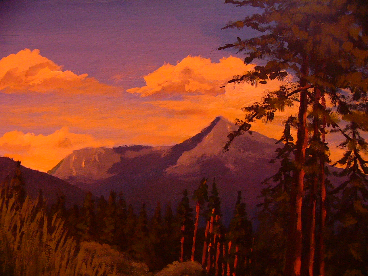 P1110151.JPG